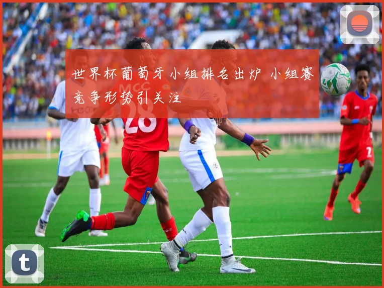 世界杯葡萄牙小组排名出炉 小组赛竞争形势引关注