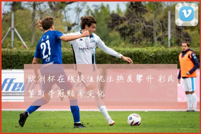 欧洲杯在线投注玩法热度攀升 彩民紧盯夺冠赔率变化