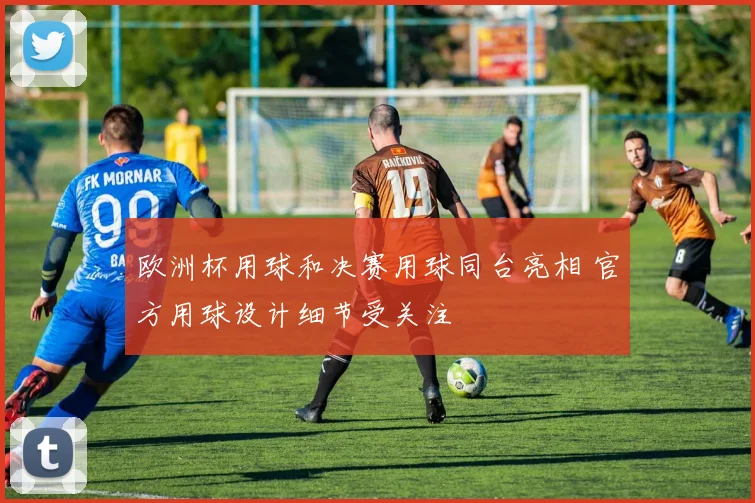 欧洲杯用球和决赛用球同台亮相 官方用球设计细节受关注